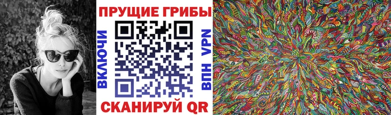 Псилоцибиновые грибы GOLDEN TEACHER  Нарьян-Мар 